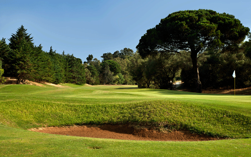 charming_experiences_golf